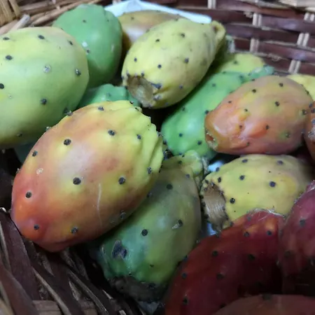 Marghine Макомер