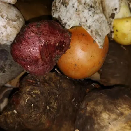 Marghine מלון 2*